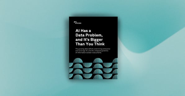 AI Has a Data Problem White Paper